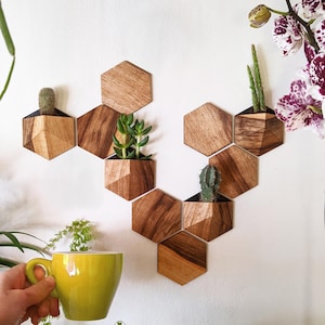 May include: Wooden hexagon-shaped wall planters with various succulents and cacti. The planters are made of wood with a natural grain and are mounted on a white wall. A yellow mug with a plant is in the foreground.