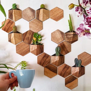 Może przedstawiać: Drewniane, sześciokątne donice ścienne o geometrycznych wzorach, każda z małym sukulentem lub kaktusem. Donice są zamontowane na białej ścianie, tworząc naturalną estetykę. Jasnoniebieski kubek jest trzymany na pierwszym planie.