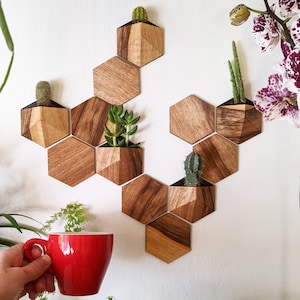 Mini vertikaler Garten. Mini sechseckige Pflanzgefäße. Packung mit 5 kleinen Blumentöpfen + 8 Wandfliesen. Holz und Bioplastik. Geometrische Mini Blumenübertöpfe.