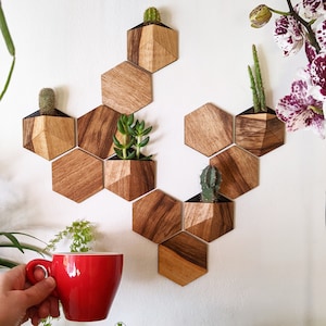 Mini vertical garden. Mini hexagonal planters. Pack of 5 tiny plant pots + 8 wall tiles. Wood and bioplastic. Geometric mini wall planters.