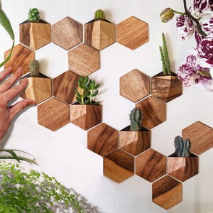 Peut inclure: Des jardinières murales hexagonales en bois avec diverses plantes succulentes et cactus. Les jardinières sont en bois clair et foncé et sont montées sur un mur blanc. Les plantes sont vertes et ajoutent un élément naturel à la décoration.