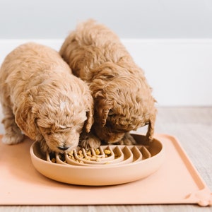 May include: Two golden brown puppies eating from a light brown slow feeder bowl on a light pink silicone mat. The bowl has a raised design to help slow down eating.