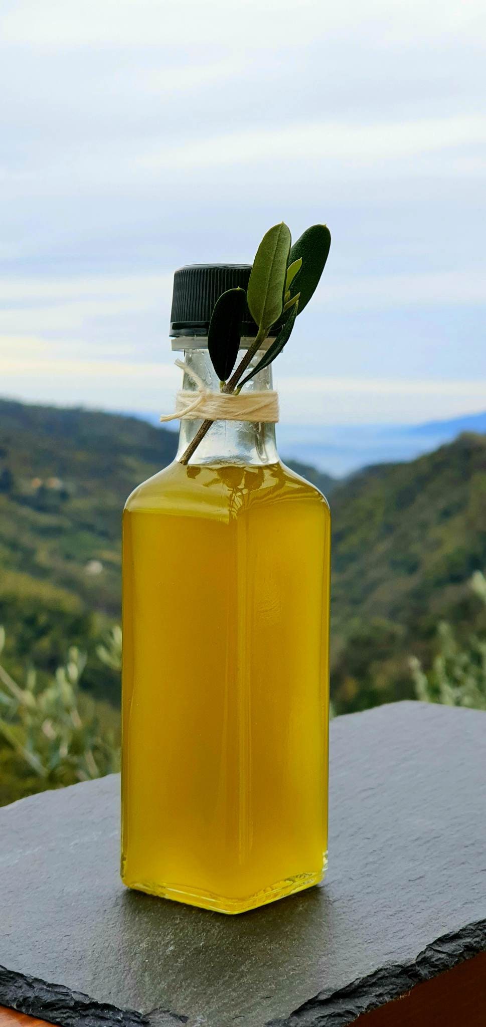 Rosemary / Basil Infused Extra Virgin Olive Oil Bulk 1 Gallon / 3.8 Liter