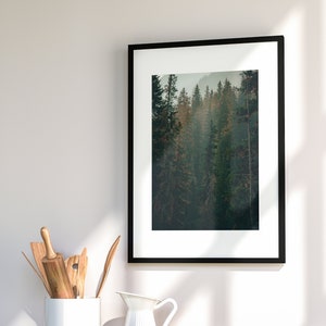 Mossy Trees Poster with Enchanting Forest Wall Art, Nature-Inspired Decor | Rustic Mossy Trees Poster  Unique Wall Art, Nature Lover&#39;s Dream