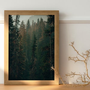 Mossy Trees Poster with Enchanting Forest Wall Art, Nature-Inspired Decor | Rustic Mossy Trees Poster  Unique Wall Art, Nature Lover&#39;s Dream