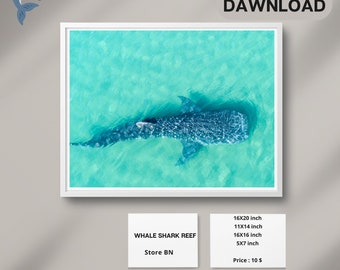 Whale shark mural  |  Shark wall art for home or office | Beach  Shark Print | shark art | Whale Shark Watercolor Print |  Digital dawnload