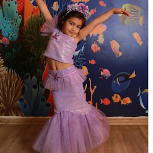 Mermaid Birthday Party Dress, Ariel Little Mermaid Costume, Mermaid Halloween Costume,mermaid costume,mermaid dress