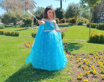 Princesse la reine des neiges, Déguisement Elsa, Elsa pour toute petite fille, Robe d'anniversaire, Robe tutu bleu glacier, Frozen petite fille, Déguisement Elsa pour toute petite fille, Robe de soirée pour tout-petit