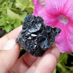 Cassiterite + Muscovite - Pingwu, China - Minerals Curiosity Cabinet Collection