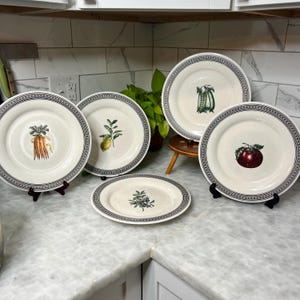 May include: A collection of white ceramic plates with botanical illustrations of vegetables and fruits. Each plate features a black and white patterned border. The illustrations include a carrot, lemon, peas, apple, and berries. The plates are displayed on black plate stands.