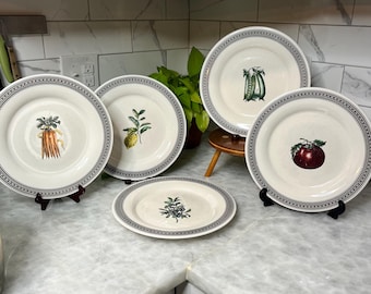 Pfaltzgraff Farmers Market Dinner Plate 11 Inch USA