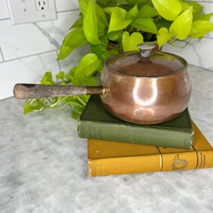 May include: A small copper saucepan with a lid and a wooden handle. The pan sits atop two vintage books with green and yellow covers. A green plant is in the background.