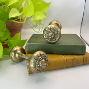 May include: Two antique brass door knobs with ornate floral designs. One knob is lying on a yellow book, and the other is on a green book. A potted plant with green leaves is in the background.