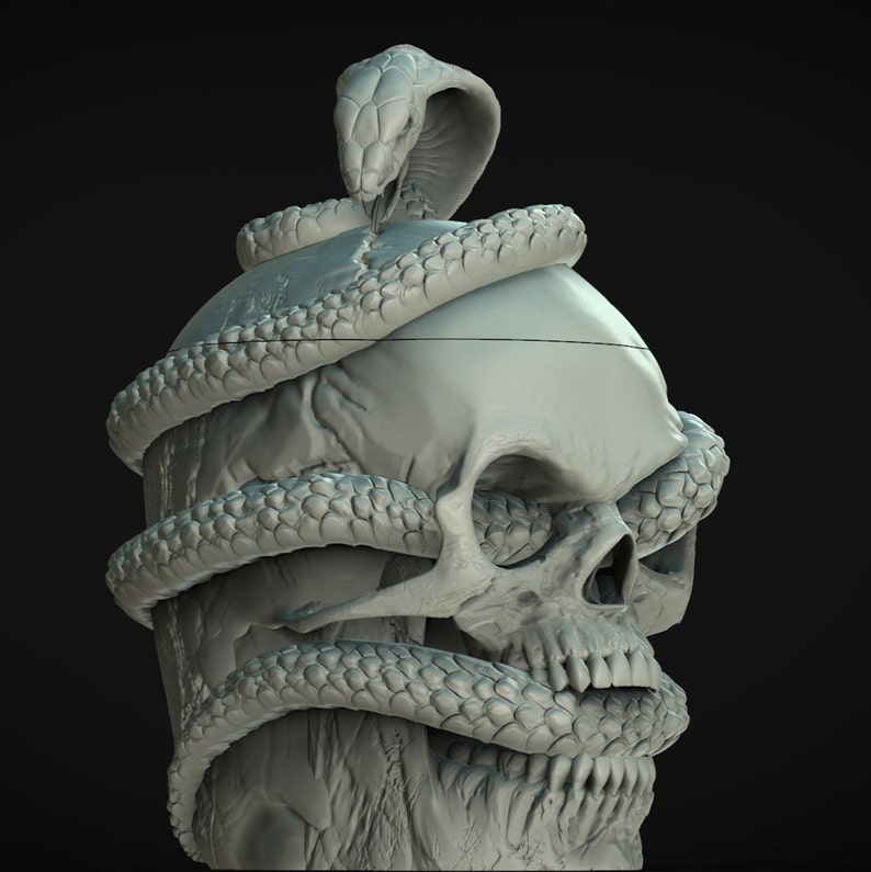 May include: A gray sculpture of a human skull with a snake coiled around it. The snake's head is raised, and its body is wrapped around the skull. The skull has visible teeth and eye sockets, and the sculpture is set against a dark background.