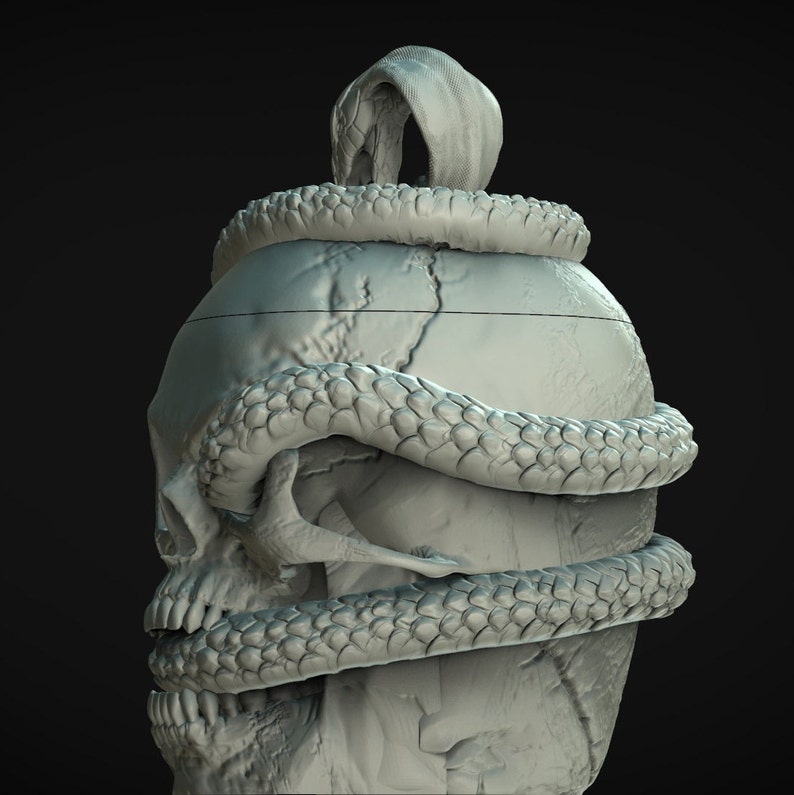 May include: A detailed, light gray sculpture of a human skull entwined by a snake. The snake's body wraps around the skull, with its head and tongue extending upwards. The sculpture has a matte finish and is set against a dark background.