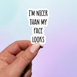 Sticker I'm Nicer Than My Face Looks | RBF-sticker | Grappige sticker | Plannersticker | Laptopsticker | Sarcastische sticker |