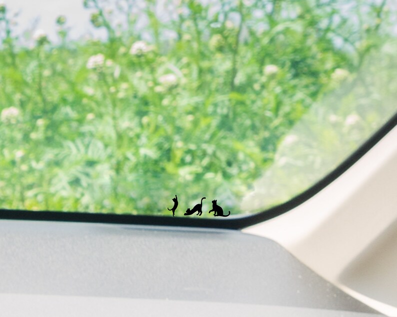 Puede incluir: Una ventana de coche con vista a un campo verde. Hay tres siluetas de gatos negros en la ventana, dos de pie y una sentada.