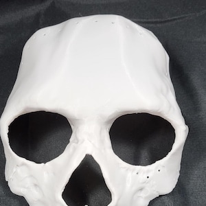 Könnte beinhalten: Eine weiße Totenkopfmaske mit glatter Oberfläche, großen, hohlen Augenhöhlen, einer dreieckigen Nasenöffnung und einem detaillierten Gebiss im Oberkiefer. Am oberen Rand der Maske befinden sich mehrere kleine, gleichmäßig verteilte Löcher.