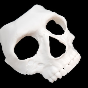 May include: A white, three-dimensional skull mask featuring large, hollow eye sockets, a central nasal cavity, and a detailed row of upper teeth. The object is rendered in a smooth, matte white finish and is presented against a solid black background.