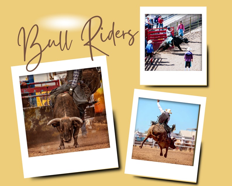 Bull Riders Word Search, Bull Riding Game for Kids, 8 Second Ride ...