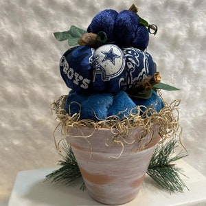 May include: A blue and white fabric pumpkin with the Dallas Cowboys logo sits in a terracotta pot with a whitewash finish. The pot is decorated with dried moss and a small sprig of pine.