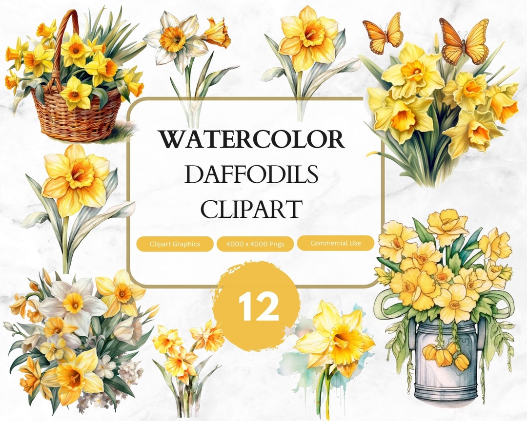 Watercolor Daffodils Clipart Spring Flower, Floral Bouquet, Yellow ...