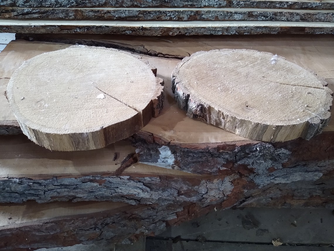 Rustic Tree Rounds and Circles With Live Bark Edges - Various Sizes ...