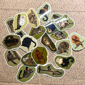 Puede incluir: Un conjunto de pegatinas troqueladas que representan varios primates, incluyendo monos y lémures, en diferentes poses. Las pegatinas tienen un borde verde y están colocadas sobre un fondo con estampado floral. Las ilustraciones muestran a los animales en tonos marrones, negros, blancos y naranjas.