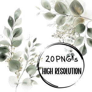 Watercolor Eucalyptus Clipart Greenery with Gold Foliage Wedding Clipart Botanical PNG Premade Clipart for Invitations and Stationary