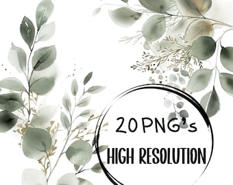 Watercolor Eucalyptus Clipart: Greenery & Gold Foliage PNG (Digital Download)