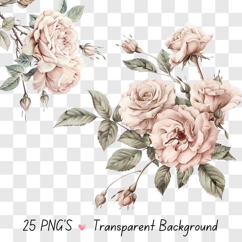 Vintage French Rose Clipart: Zestaw retro kwiatowy PNG (pobieranie cyfrowe) zdjęcie 3