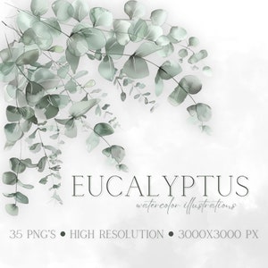 Watercolor Eucalyptus Clipart Watercolor Greenery Floral Clipart Foliage PNG Wedding Invitation Clipart Instant Download Eucalyptus PNG