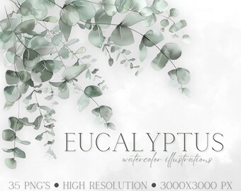 Watercolor Eucalyptus Clipart: Greenery PNG Floral Set (Digital Download)
