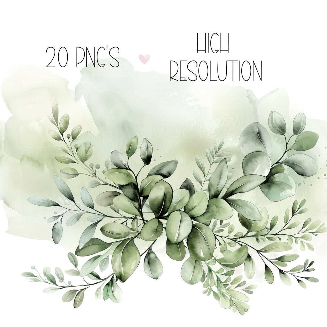 Greenery PNG Eucalyptus Clipart Foliage Watercolor Illustration Premade ...