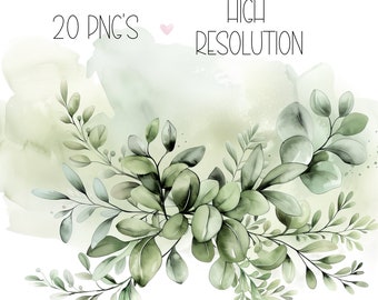 Watercolor Eucalyptus Clipart: Greenery PNG Graphics (Digital Download)