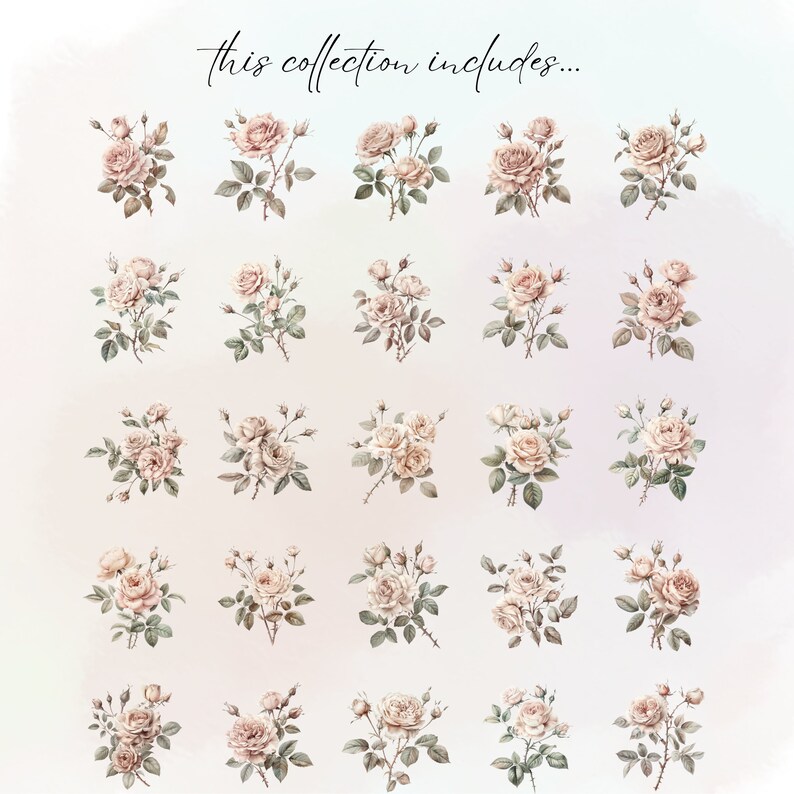 Vintage French Rose Clipart: Zestaw retro kwiatowy PNG (pobieranie cyfrowe) zdjęcie 2