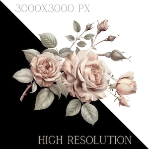 Vintage French Rose Clipart: Zestaw retro kwiatowy PNG (pobieranie cyfrowe) zdjęcie 4