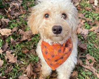 Dog Bandana - Fall/Autumn