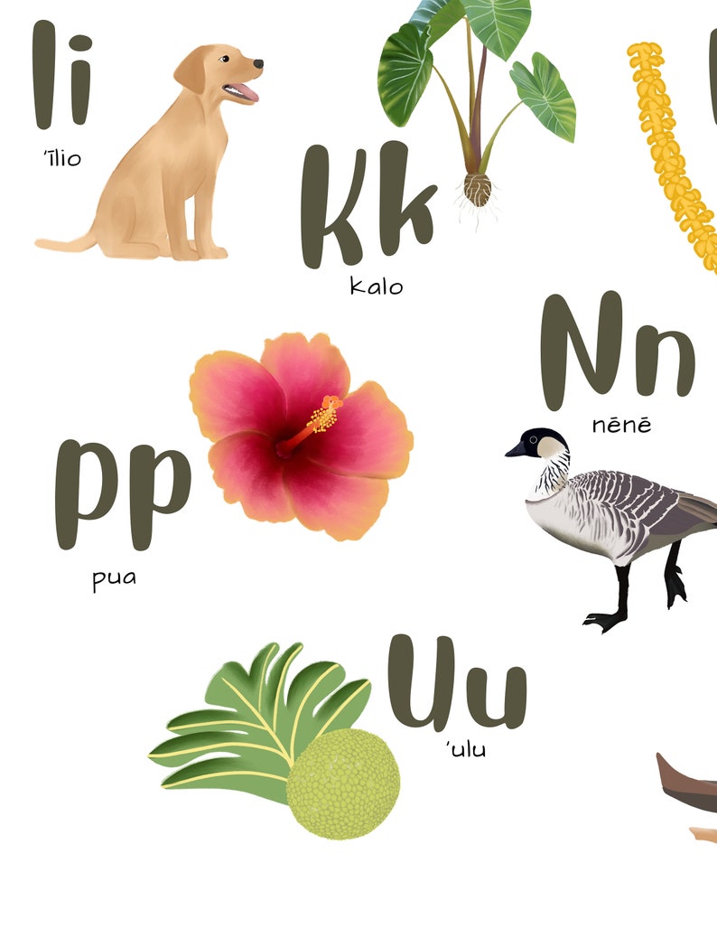 Hawaiian Alphabet Poster, Illustrated Alphabet, Digital Print, ʻŌlelo Hawaiʻi Etsy