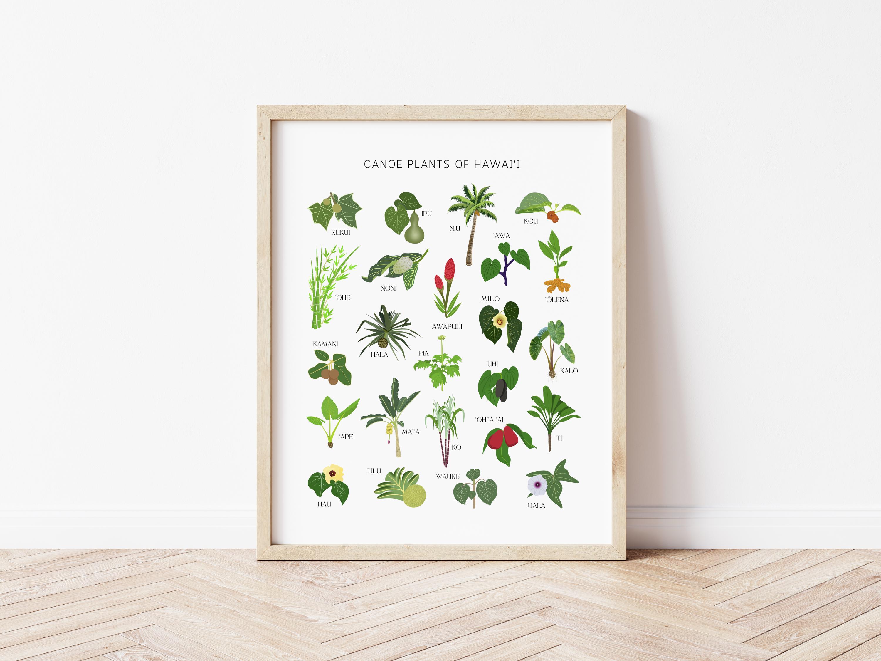 Canoe Plants of Hawaii Poster, Digital Print, 'Ōlelo Hawai'i, Hawaiian Educational Poster