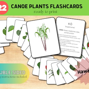 Tarjetas didácticas de plantas de canoa de Hawái, impresión digital, 'Ōlelo Hawai'i', imprimible educativo hawaiano