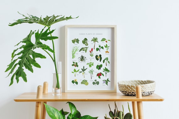 Canoe Plants of Hawaii Premium Matte Poster, 'Ōlelo Hawai'i, Hawaiian Educational Poster