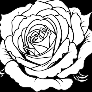 Black and White Flowering Rose Outline with Leaves Digital Download