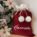 Personalised Luxurious Velvet Christmas Santa Sack Large Size product logo