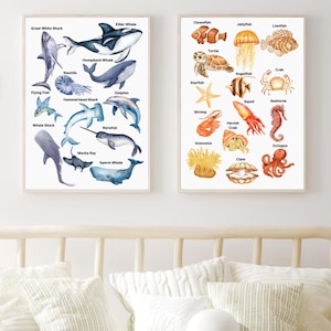 Sea Life Wall Art Shark Species Sea Creatures Print Marine Wall Art Educational Poster Ocean Animals Print Set of 2 Underwater Theme Prints