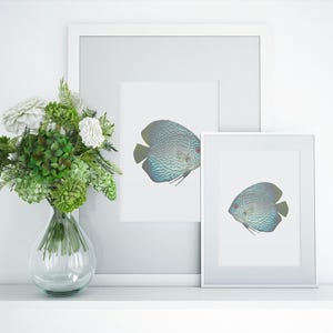 Coastal Fish Art Set of 2 Nautical Decor Blue Coastal Wall Art Beach House Art Modern Coastal Wall Decor Discus Fish Print Living Room Decor