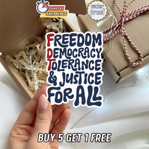 Subtle Political Humor Sticker, Progressive Quote Vinyl Decal, Feminist Equality Gift, Laptop Water Bottle Car Sticker