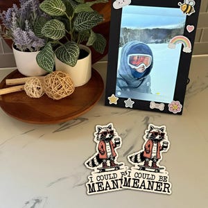 K&ouml;nnte beinhalten: Ein schwarzer digitaler Bilderrahmen mit einem Foto einer Person mit Skibrille, verziert mit Aufklebern. Zwei Aufkleber von Waschb&auml;ren auf Skateboards mit dem Text "I could be meaner". Dekorative Pflanzen und Holzkugeln sind ebenfalls vorhanden.