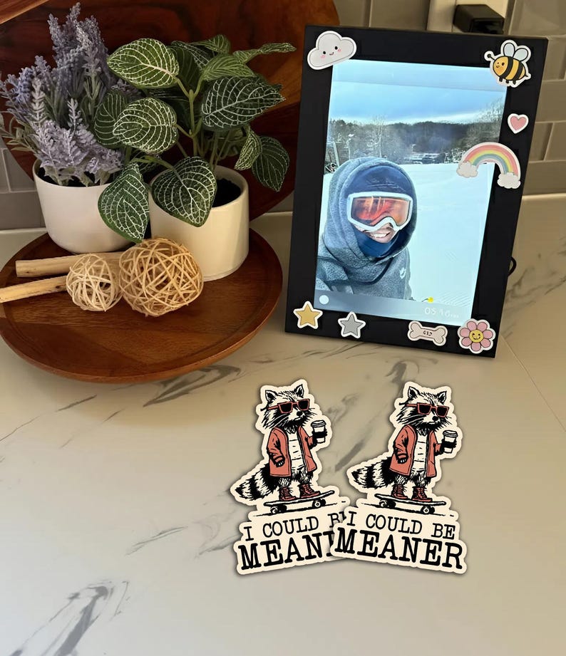 K&ouml;nnte beinhalten: Ein schwarzer digitaler Bilderrahmen mit einem Foto einer Person mit Skibrille, verziert mit Aufklebern. Zwei Aufkleber von Waschb&auml;ren auf Skateboards mit dem Text "I could be meaner". Dekorative Pflanzen und Holzkugeln sind ebenfalls vorhanden.