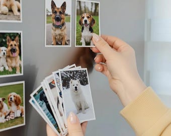 Custom Pet Photo Magnets for Fridge, Personalized Small Wallet Size Pet Picture Magnet, Cute Pet Lover Keepsake Gift